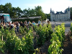 Dgustation de vin @ destination bordeaux