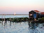 Cabane oestreicole @ destination bordeaux