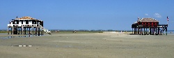 Laurent REIZ  CRT Aquitaine - Cabanes Tchanqu�es - Ile aux Oiseaux - Bassin d\\\\\\\'Arcachon