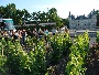 D�gustation de vin